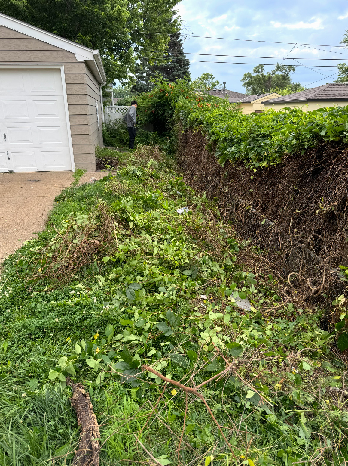 Fall cleanup and leaf removal service in Papillion, Nebraska