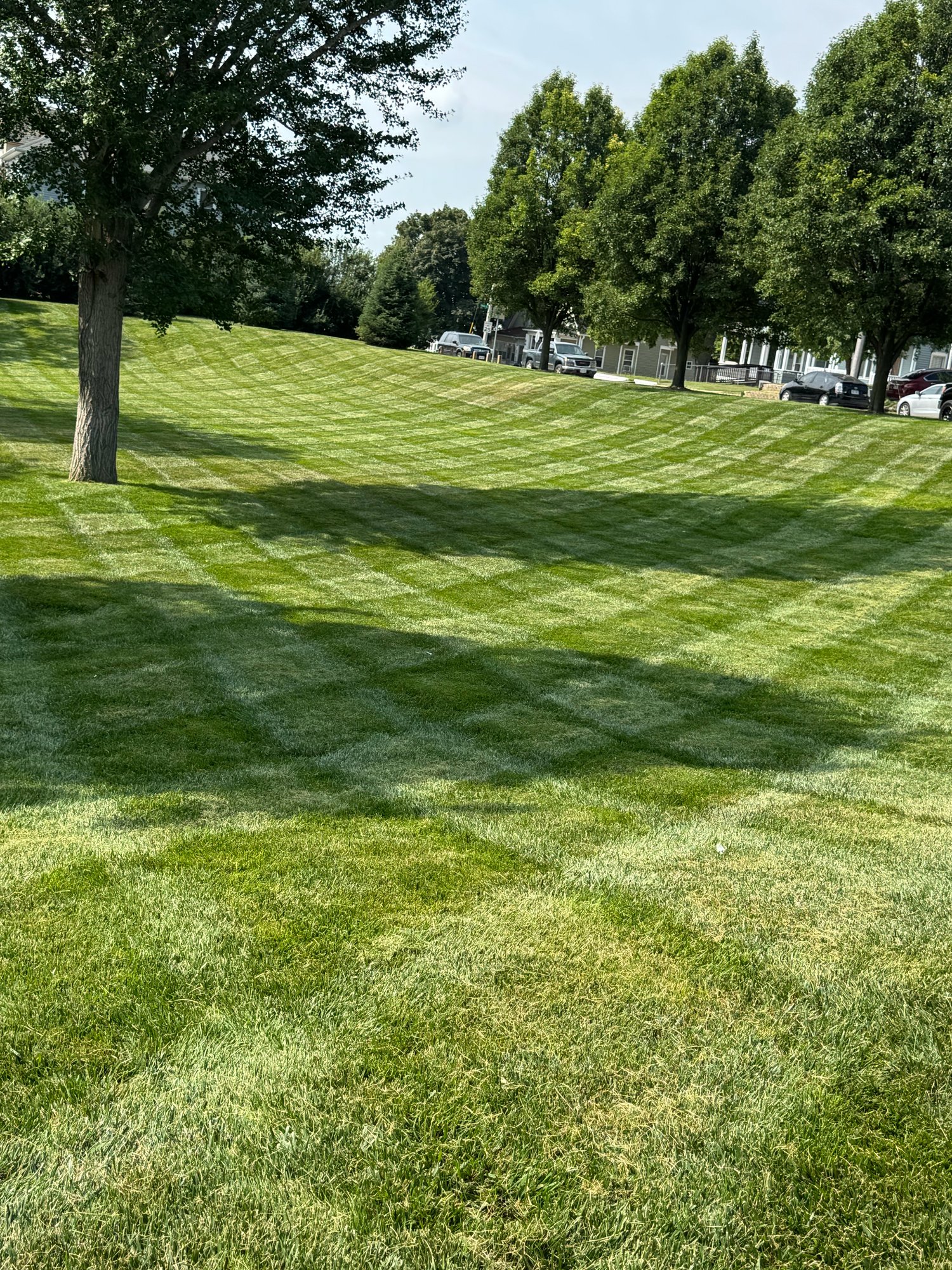 Mowing results
