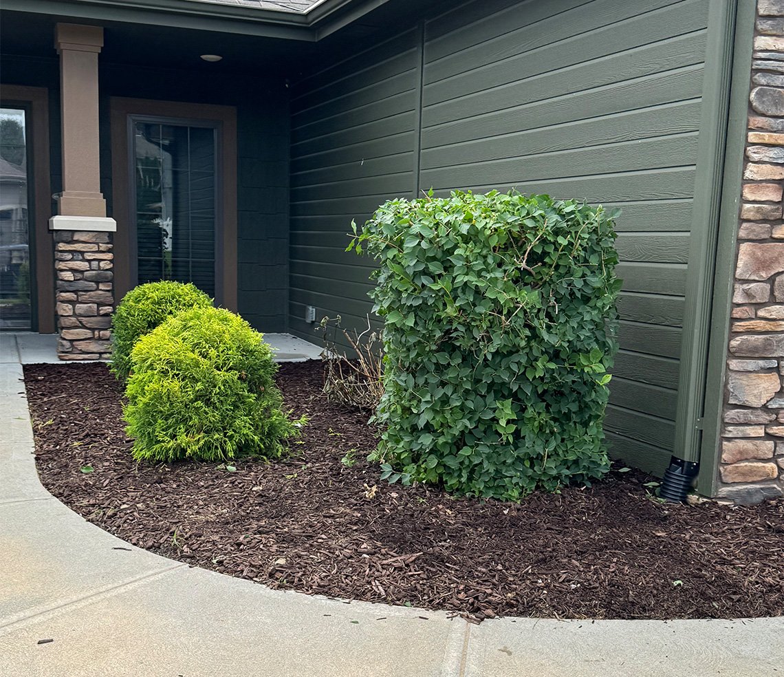 Fresh mulch installation along a walkway and landscape bed in the Omaha area