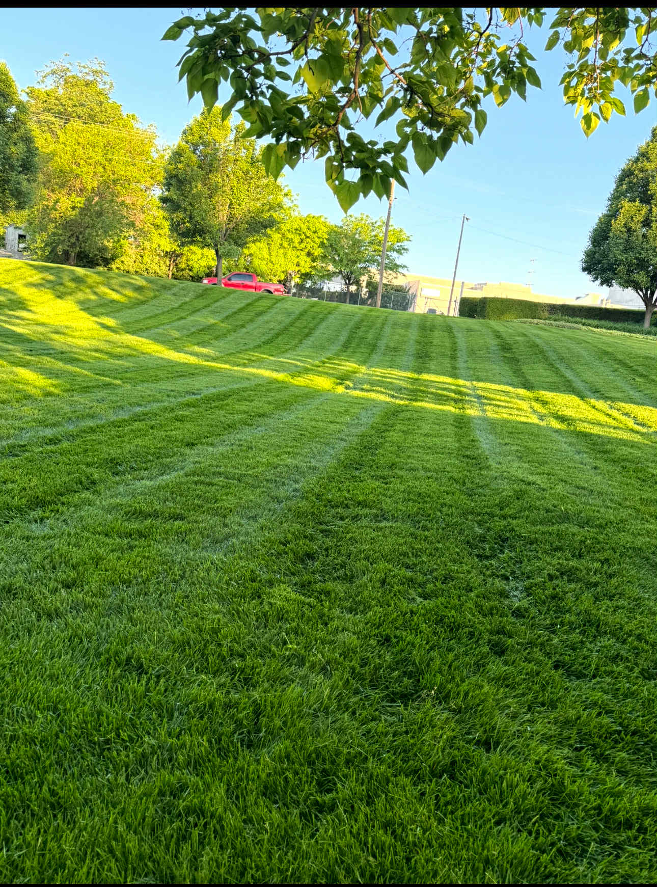 Landscaping project